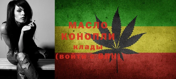 винт Ельня
