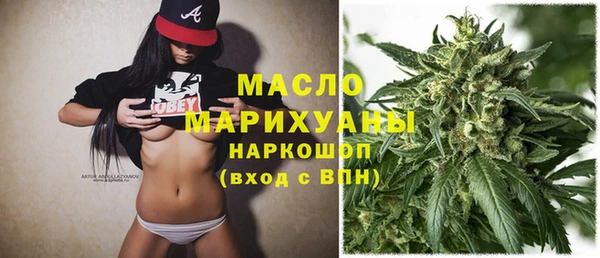 винт Ельня