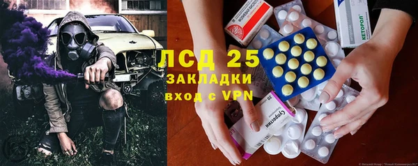 мяу мяу мука Елизово