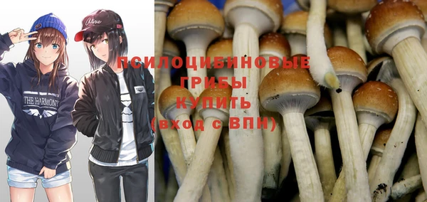 PSILOCYBIN Всеволожск