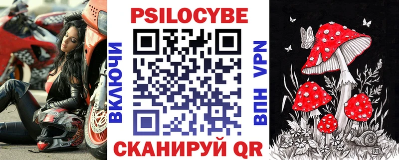 Галлюциногенные грибы Psilocybe  магазин    Звенигород 